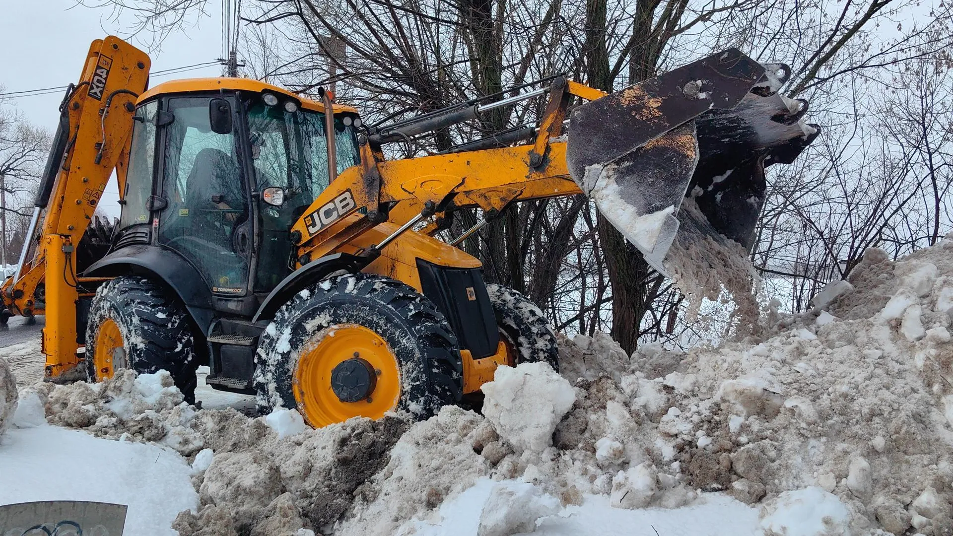 Елена Катасонова