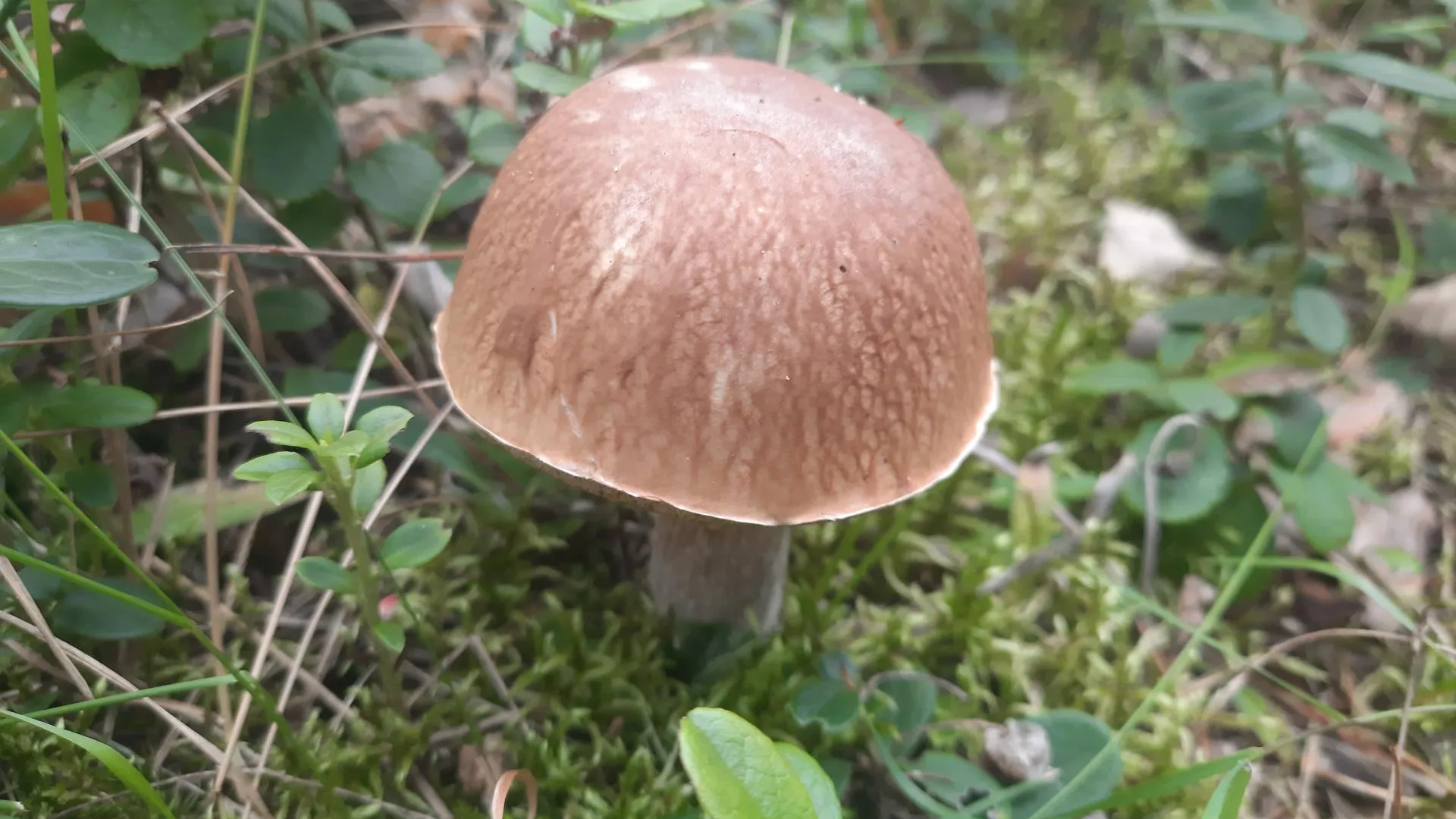 Фото: Михаил Мартыненко