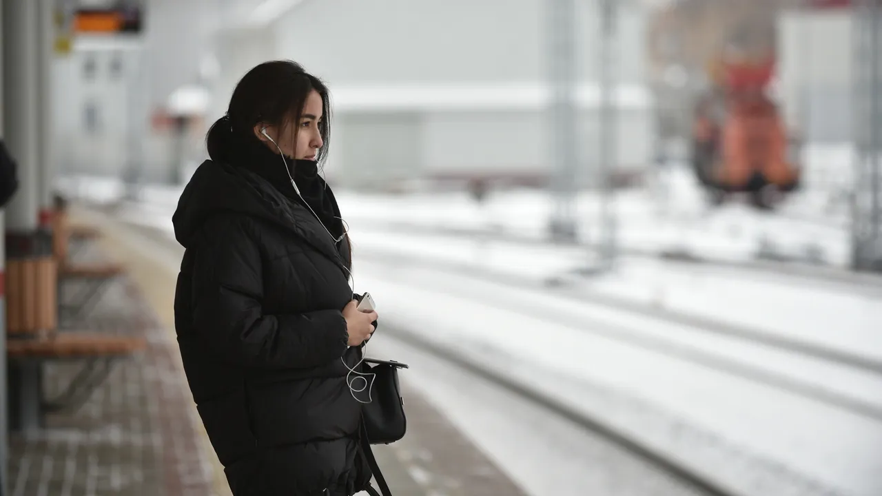 Фото: Медиаархив Подмосковья