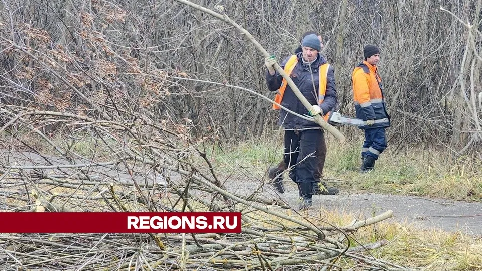 Фото: Анастасия Хренкова