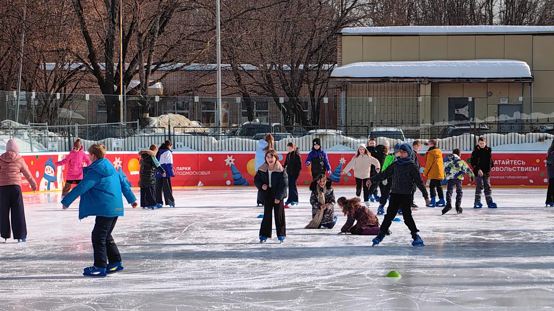 Елена Катасонова