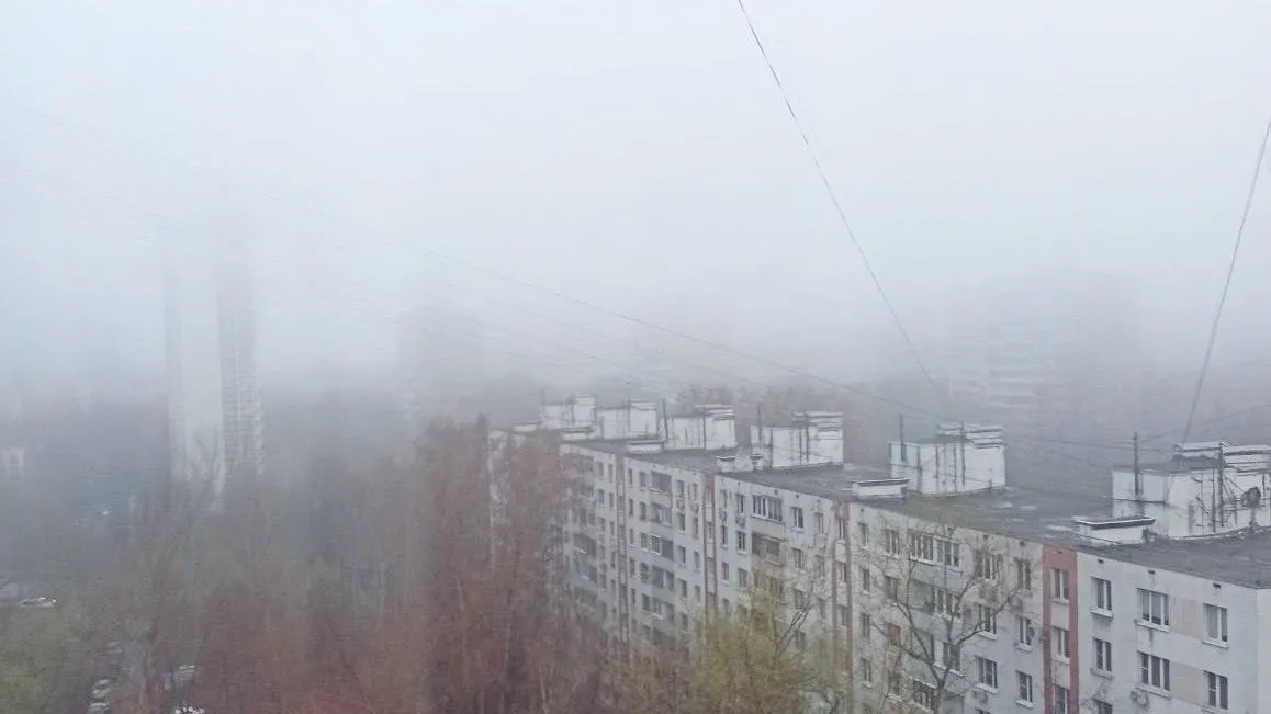 Фото: соцсети