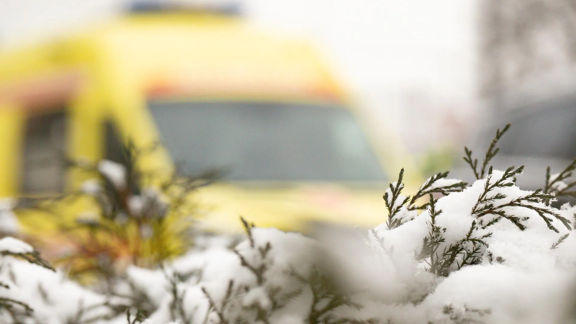 Ruslan Yarocky/URA.RU