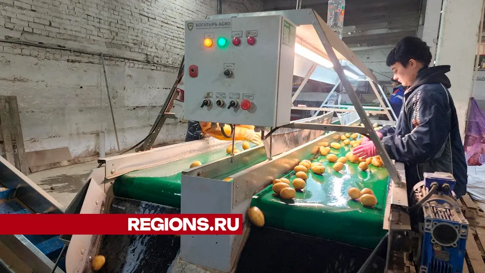 Фото: Юлия Андросова