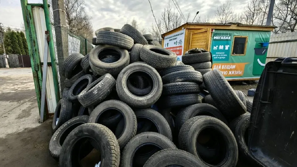 Фото: МедиаБанк Подмосковья/Елена Катасонова