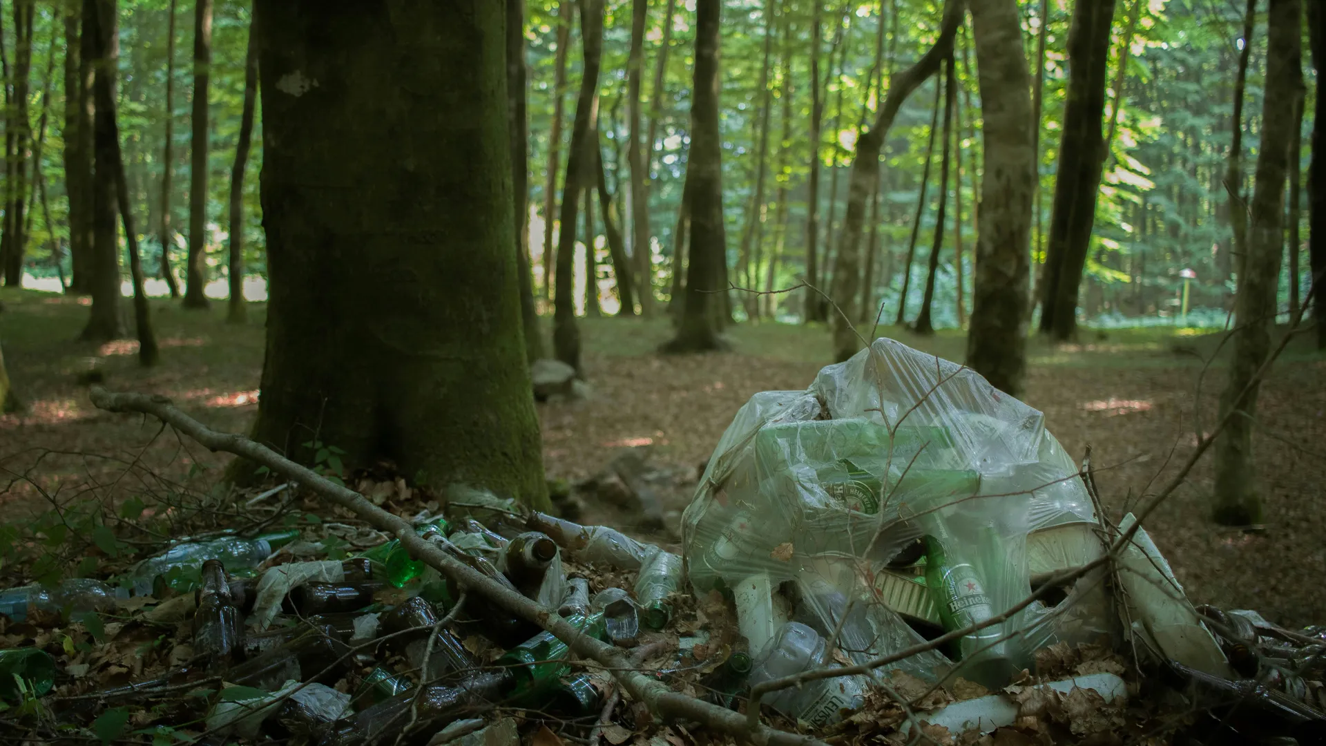 Фото: unsplash.com