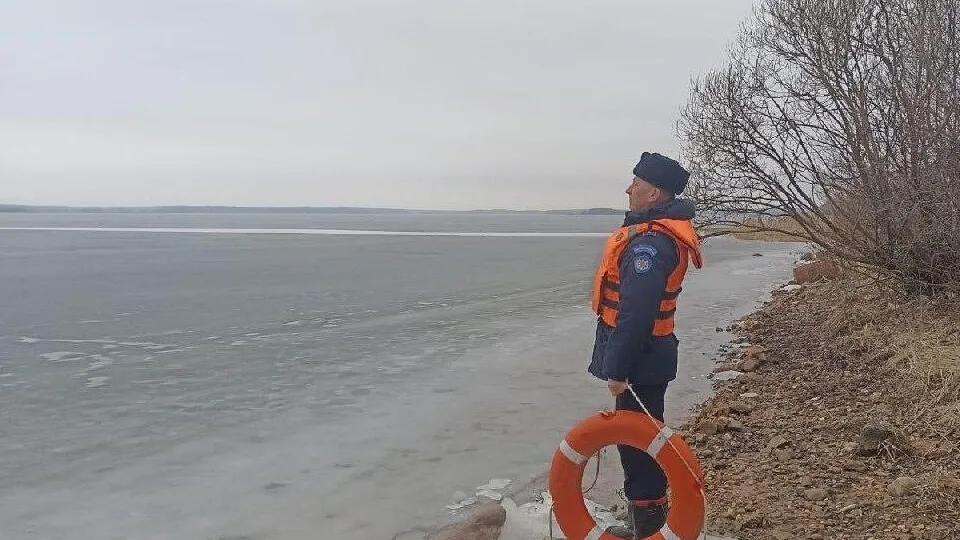 Фото: ГКУ МО «Мособлпожспас»