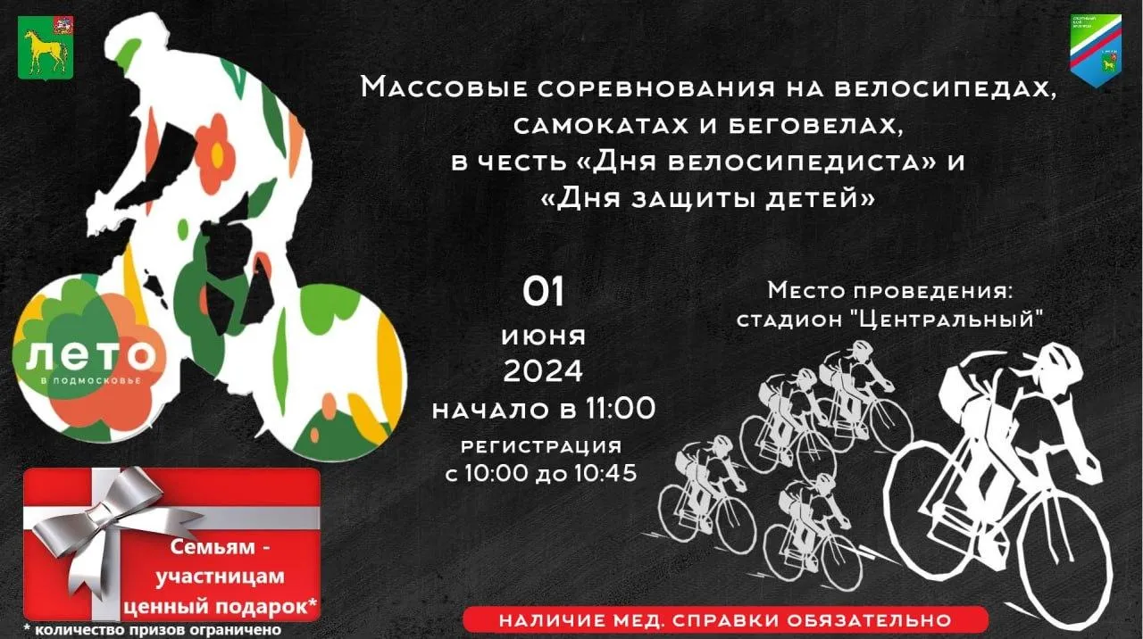 Фото: пресс-служба администрации городского округа Бронницы