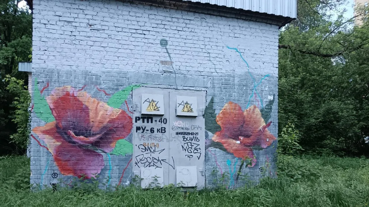 Картинка