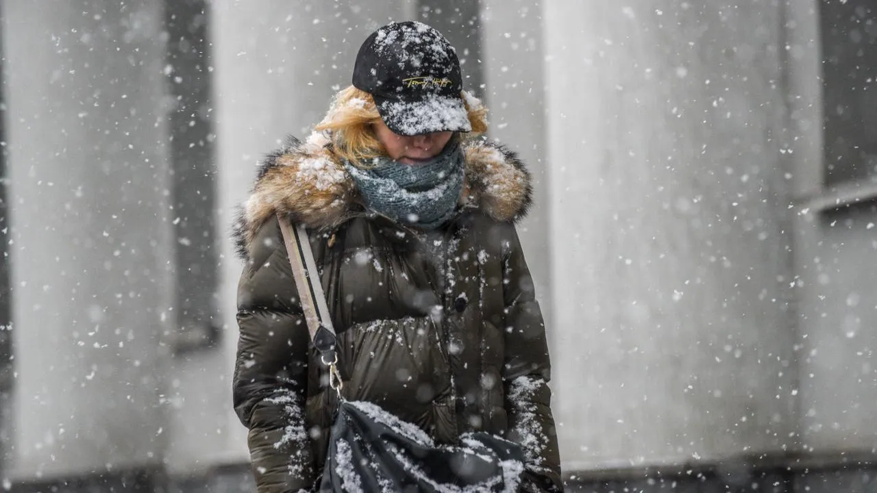 медиасток.рф