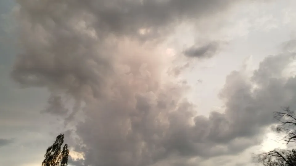 Фото: REGIONS/Юлия Куделькина