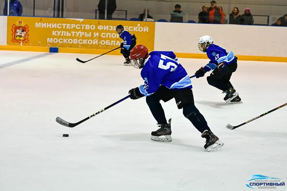 Фото: Зарайский ледовый спортивный комплекс