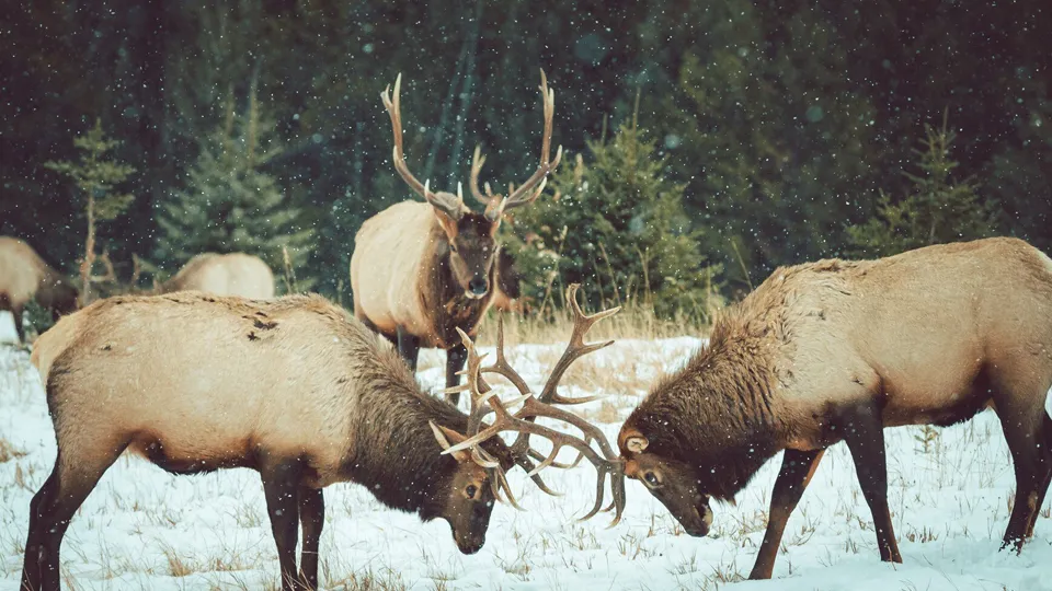 Фото: freepik.com