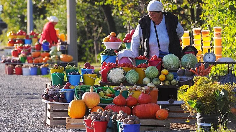 Рынок на диване: фермерам разрешат торговать продукцией на своей земле