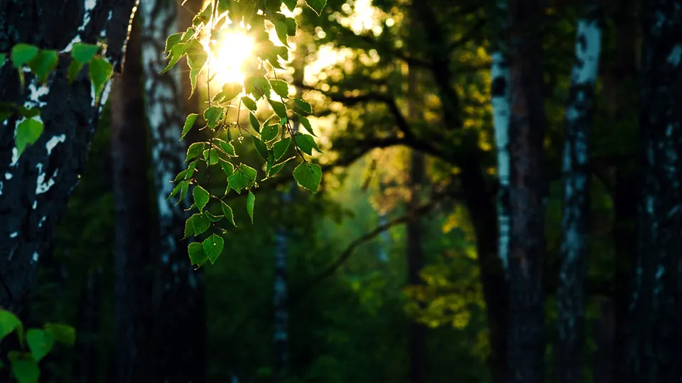 Фото: Антон Кондратюк