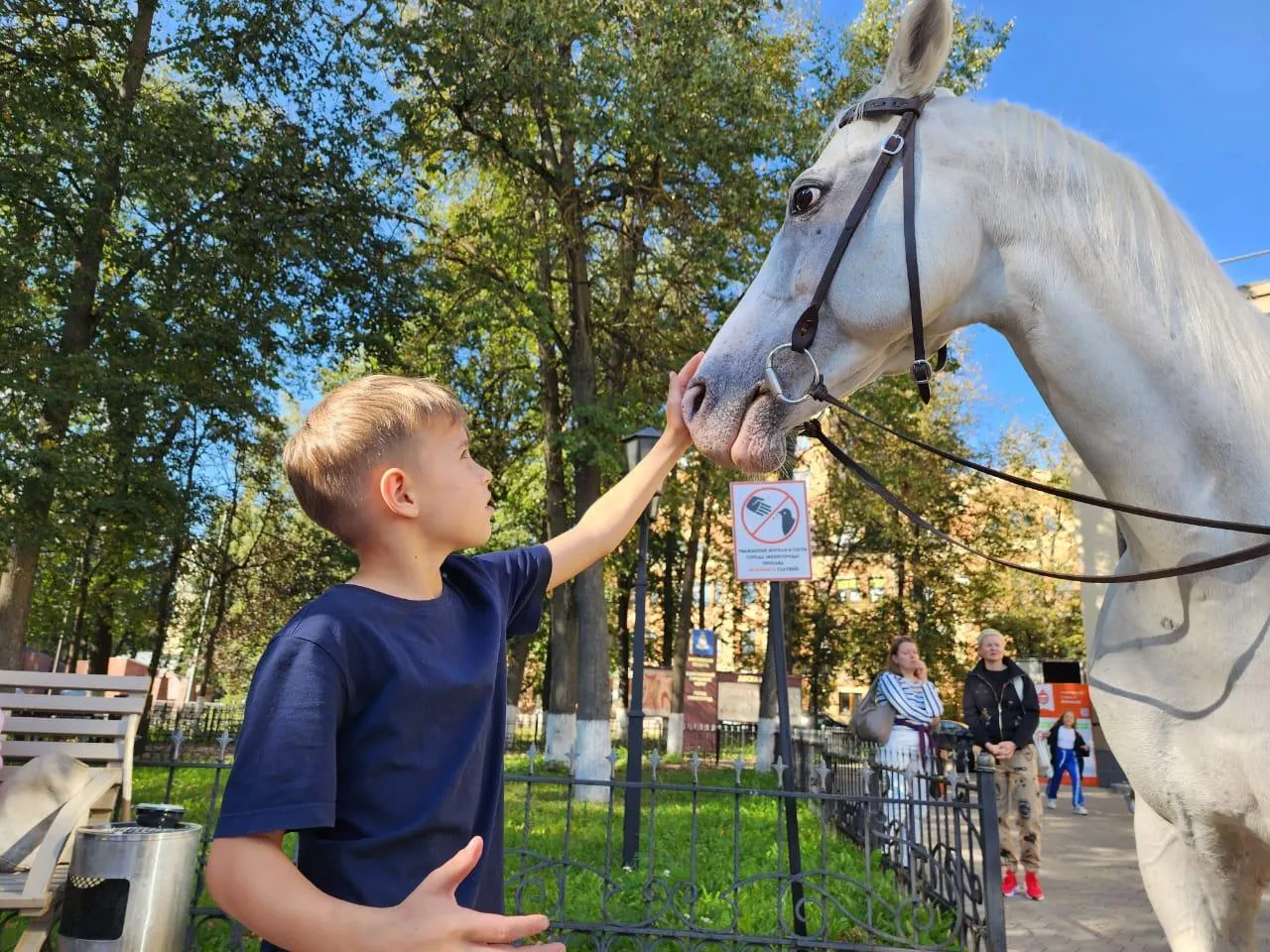 Фото: Никита Сморкалов