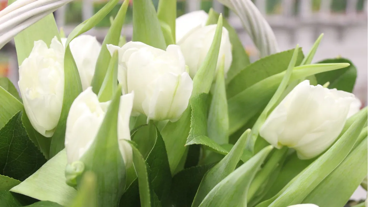 медиасток.рф