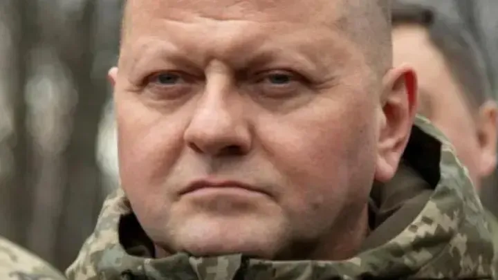 Сенатор Ковитиди назвала прорывом для Киева слова Залужного о границах Украины