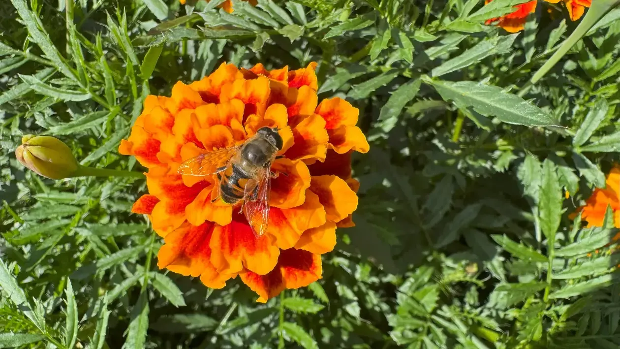 REGIONS/Илья Попов