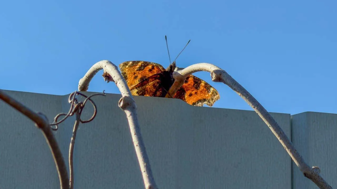 REGIONS/Илья Попов