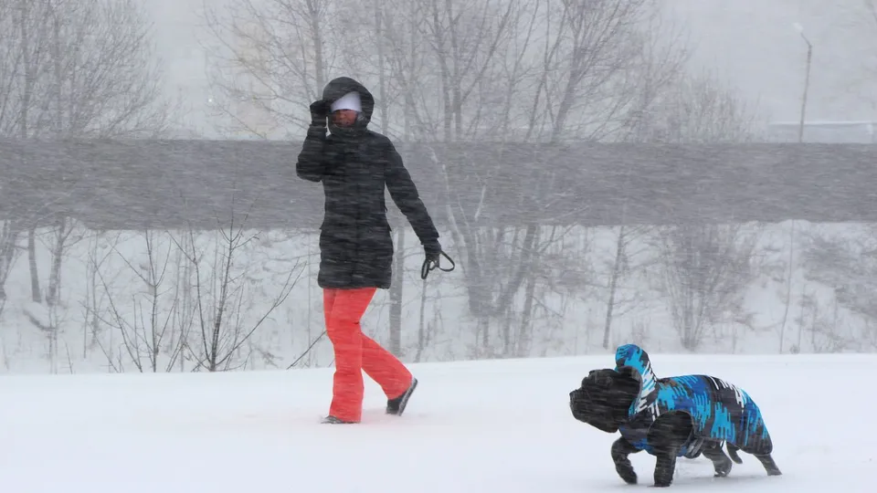 Фото: медиасток.рф