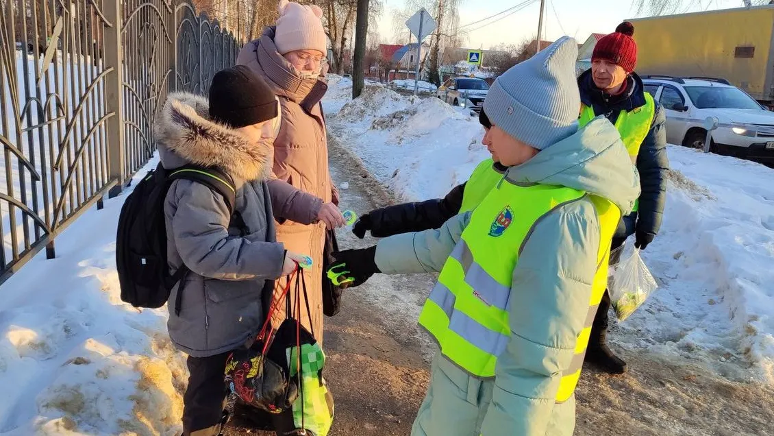 Фото: ОГИБДД г.о. Зарайск