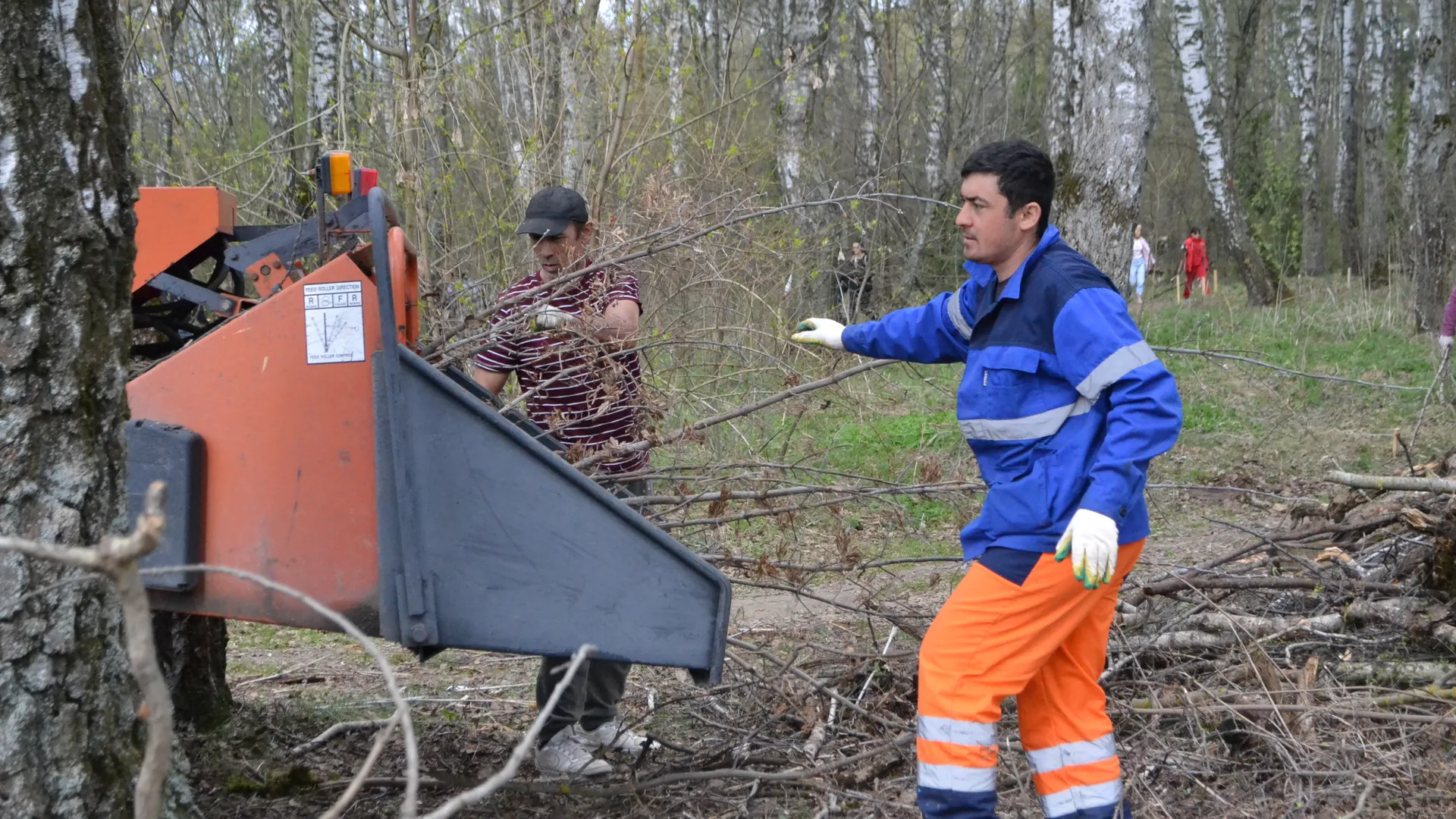 Фото: Елена Григорьева