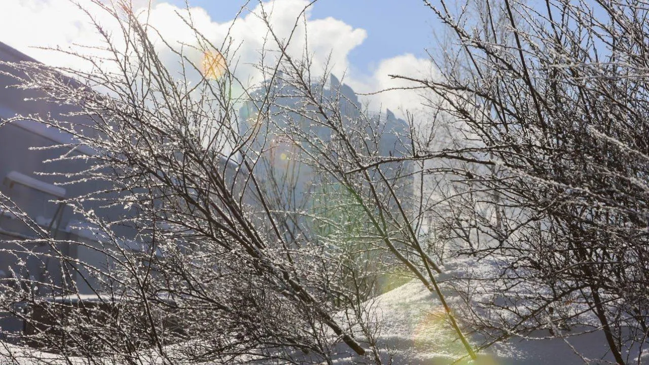 REGIONS/Роман Малышенко