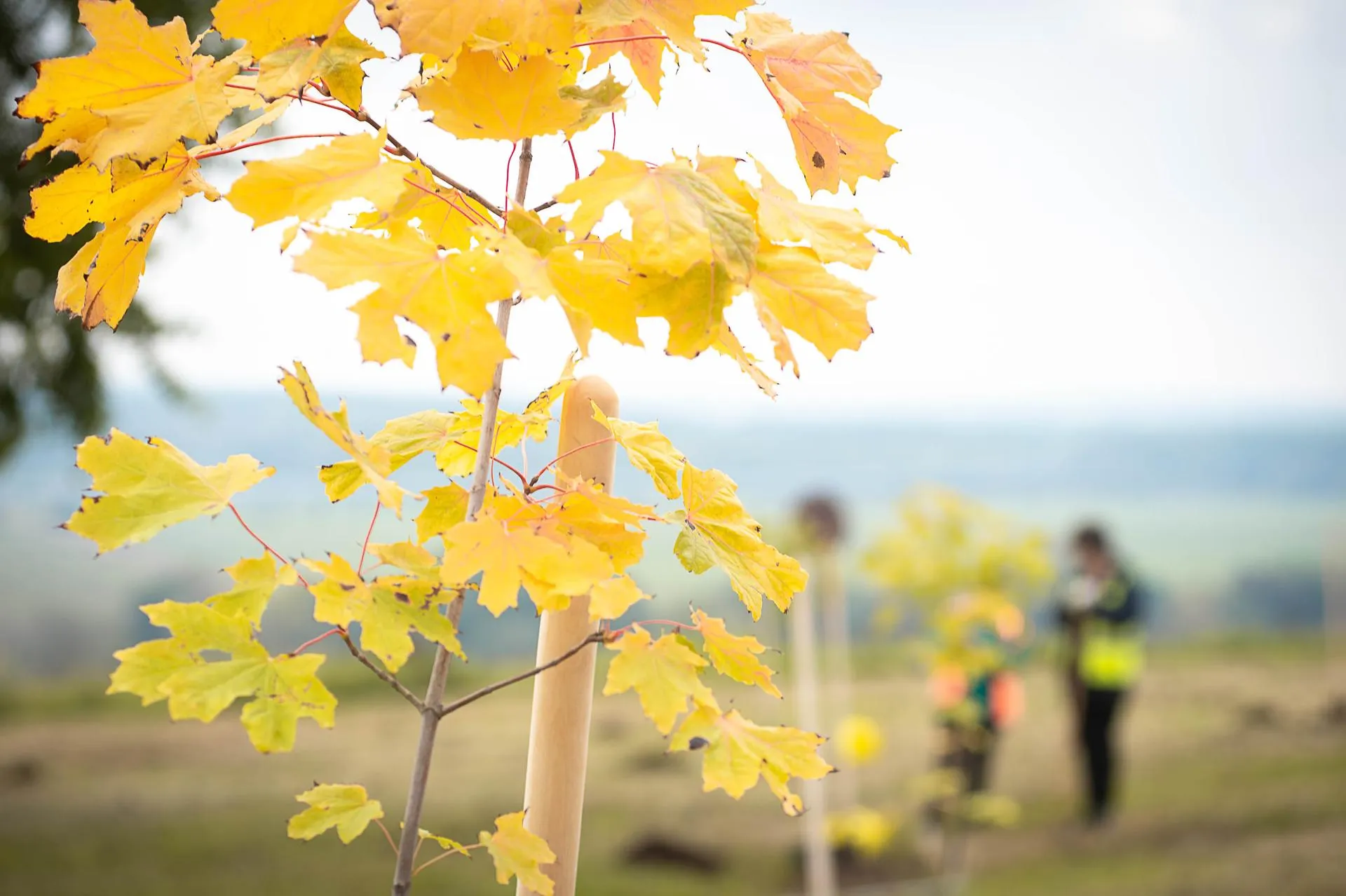 пресс-служба администрации г.о. Коломна