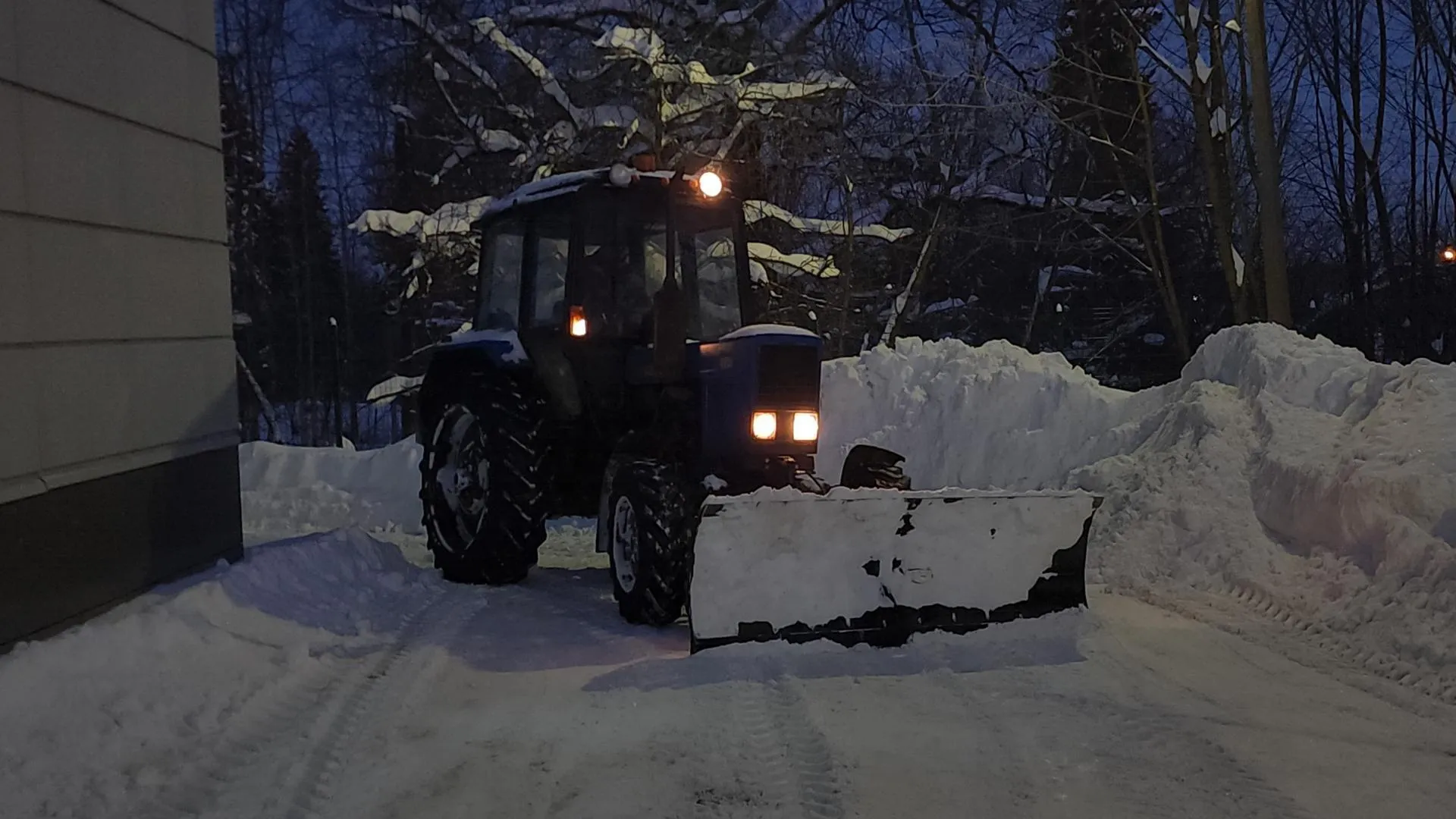 МедиаБанк Подмосковья/Екатерина Данилина