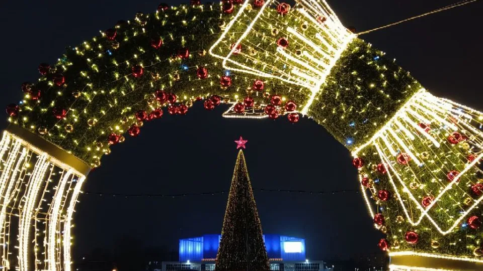 Фото: Александр Гуляев