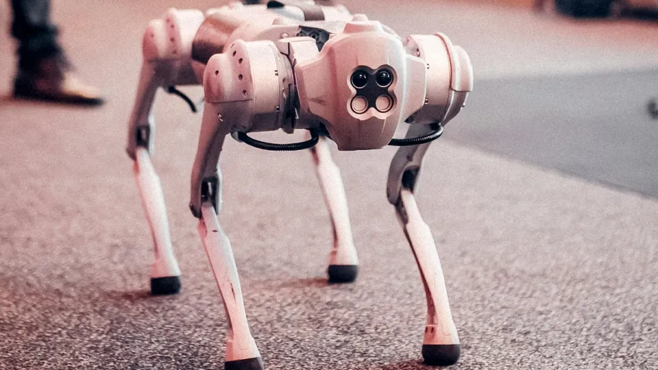 Фото: pxhere.com