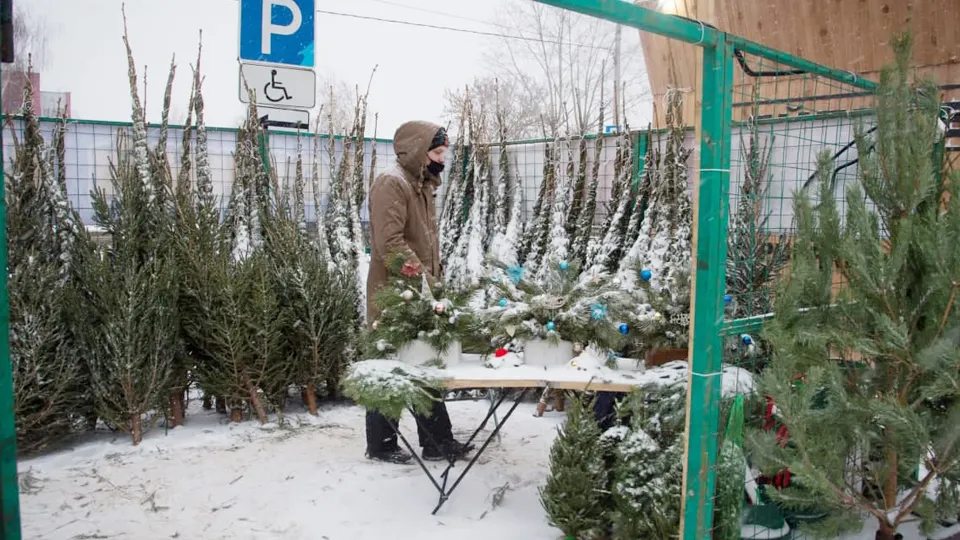 Фото: REGIONS/Нина Соколова