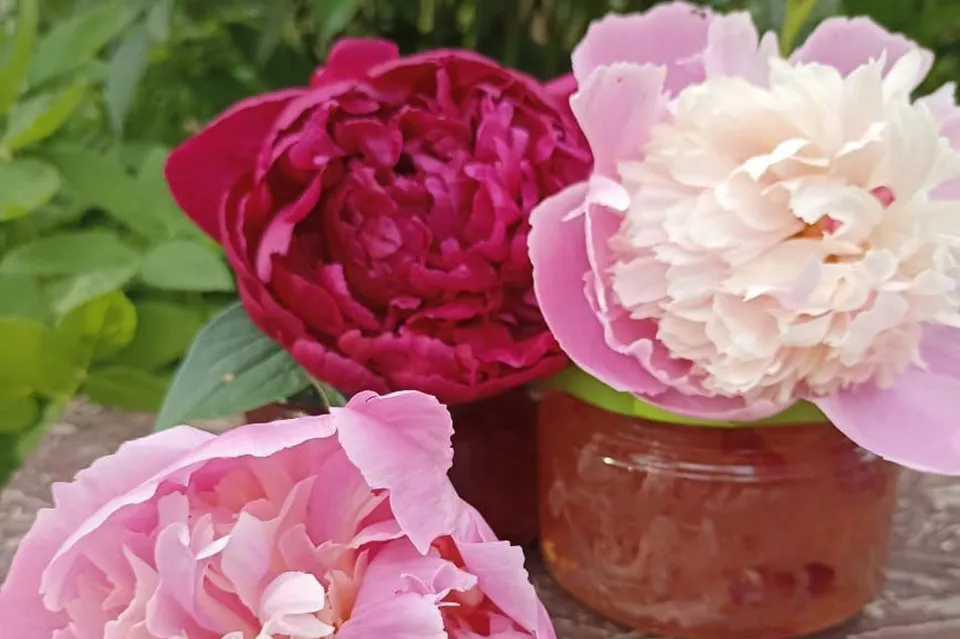 Фото: vk.com/Музей-заповедник «Дмитровский Кремль»