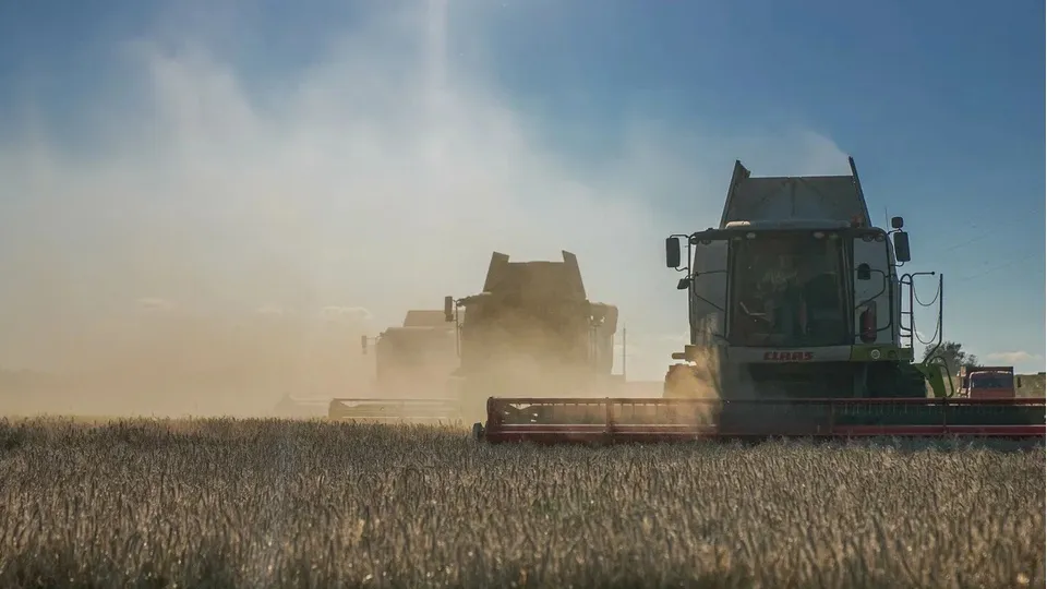 Фото: REGIONS/Наталия Надточая