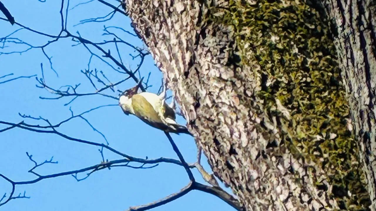 МедиаБанк Подмосковья/Юлия Маркова