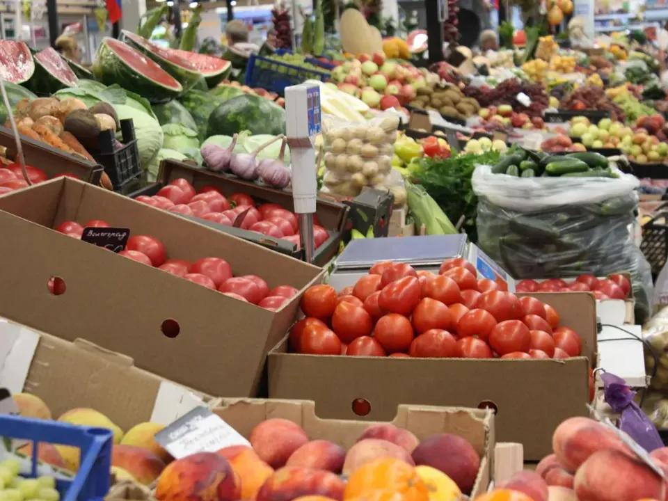 Фото: Анастасия Широкая/REGIONS