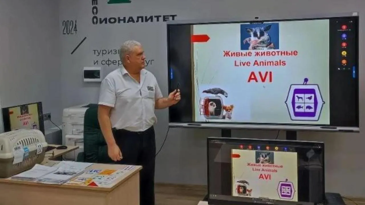 Колледж «Подмосковье» продолжает взаимодействие с другими СПО в рамках проекта «Профессионалитет»