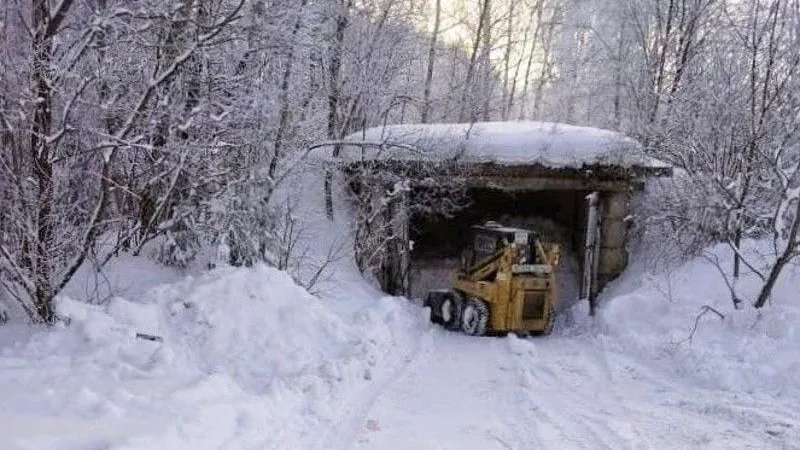 Комитет лесного хозяйства МО
