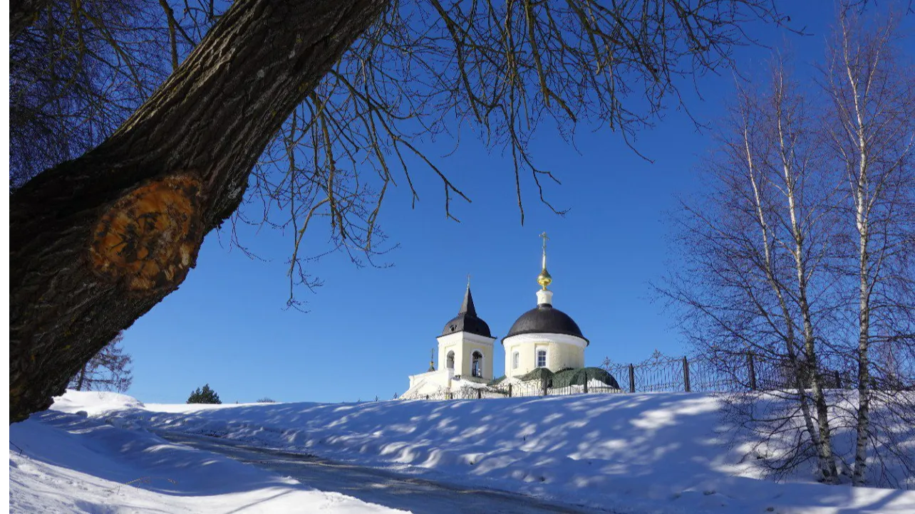 Фото: Александр Артеменков / Руза Заповедная