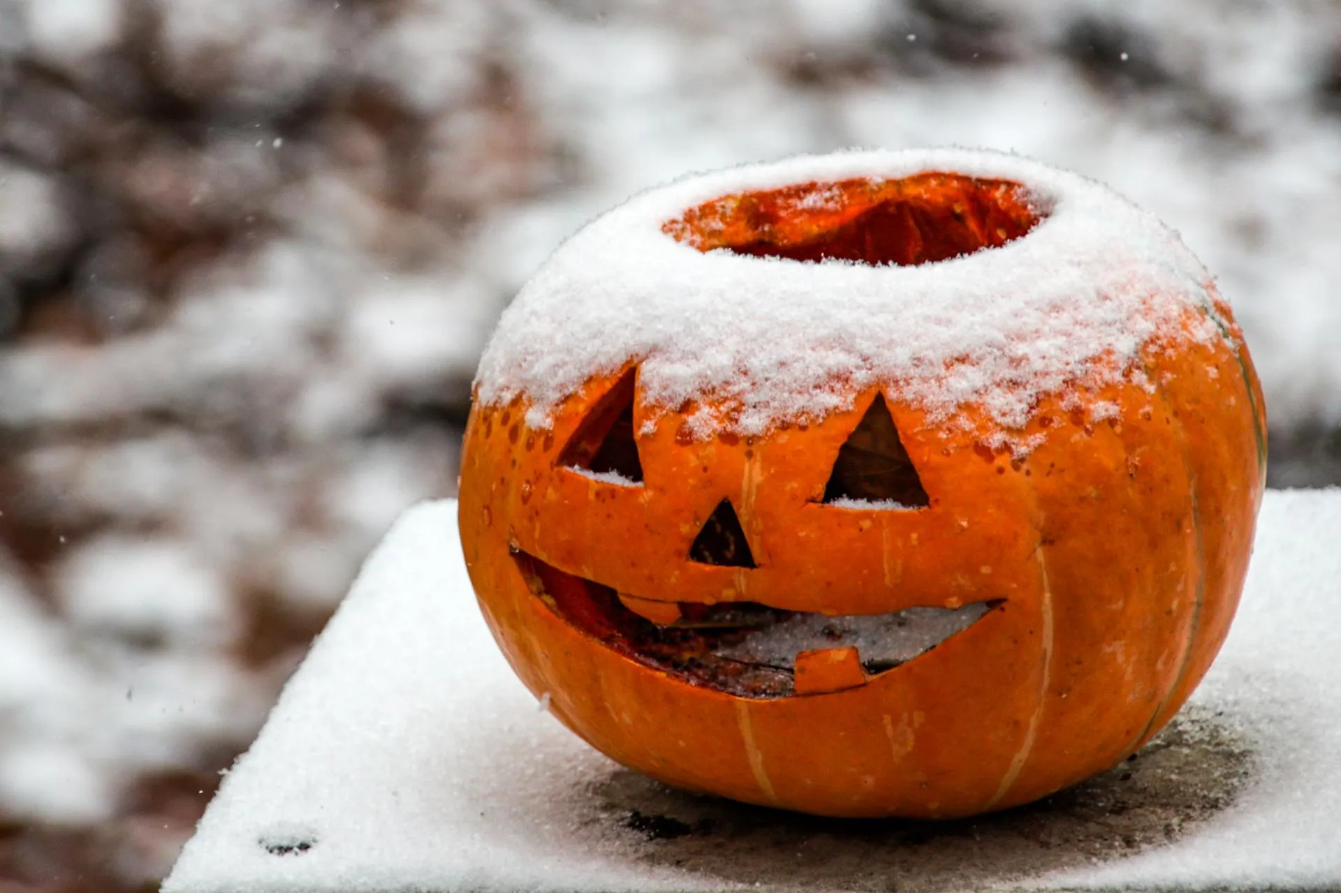 Lantyukhov Sergey/news.ru