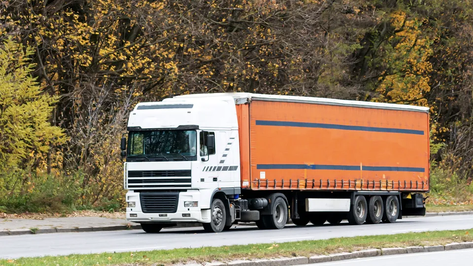 Фото: istockphoto.com/Gorvik