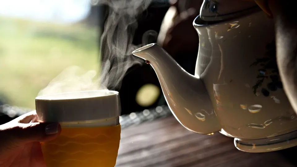 Фото: REGIONS/Максим Зубарев