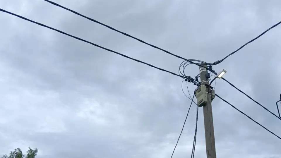 Фото: Администрация городского округа Лотошино