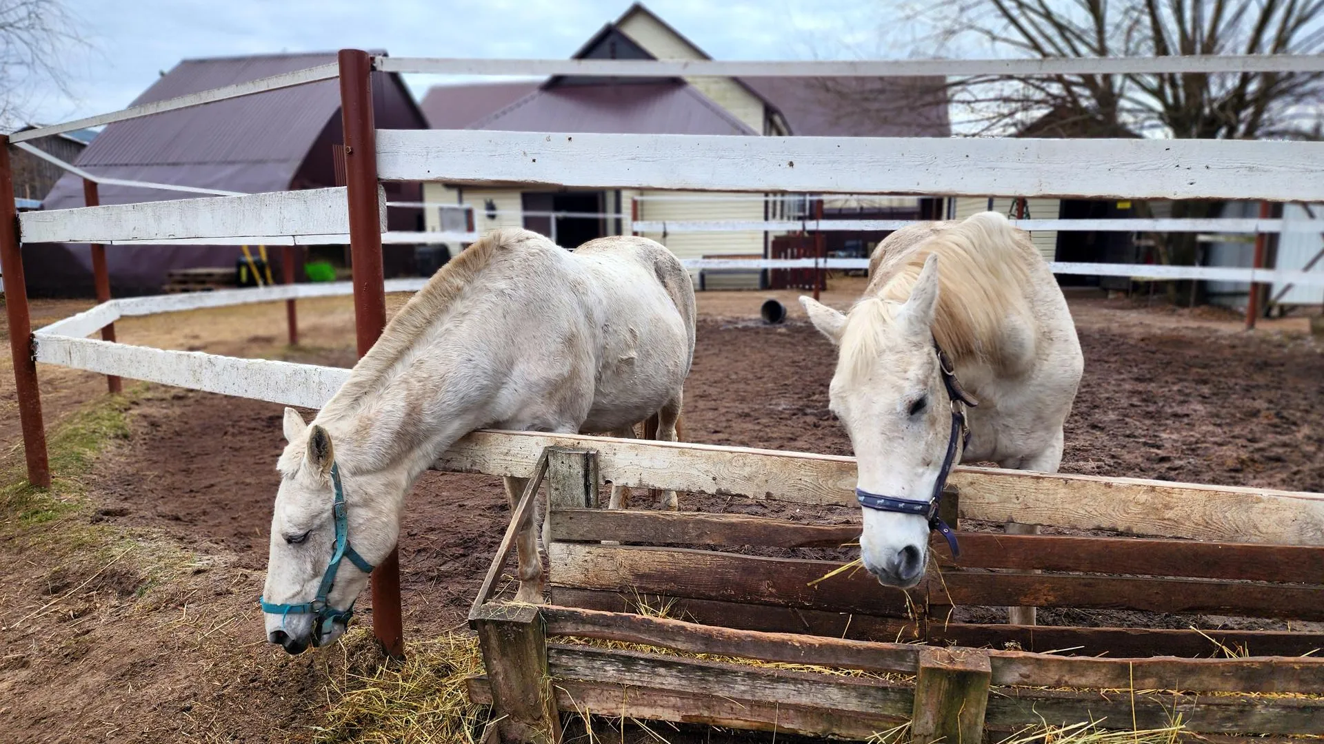 Фото: Полина Пахомова