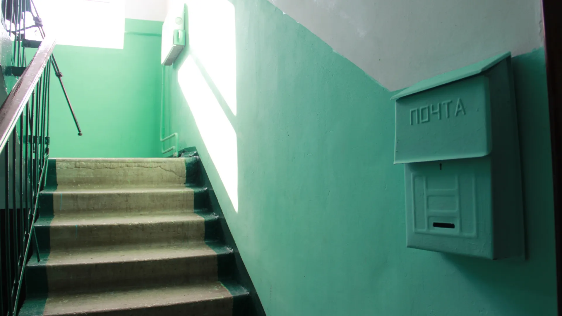 Фото: Виктория Дашдемирова