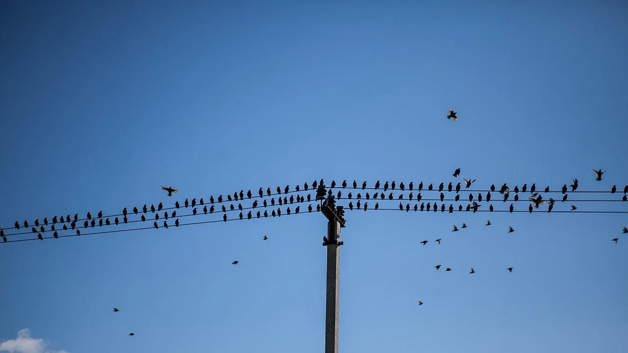 REGIONS/Роман Малышенко