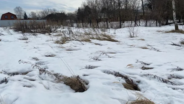 Фото: Комитет по конкурентной политике МО