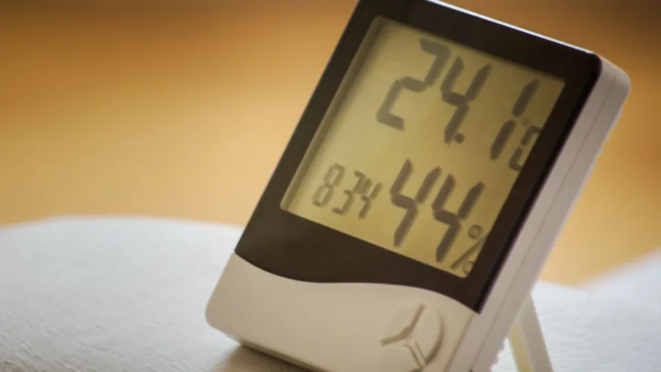 Фото: unsplash.com