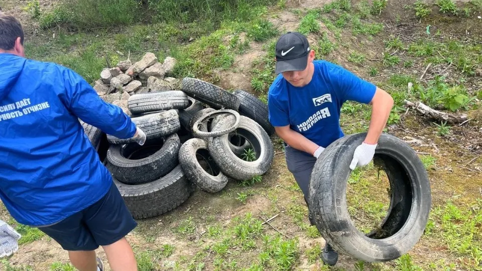 Фото: vk.com/Молодая гвардия г.о. Лотошино